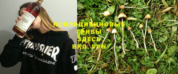 стафф Мегион