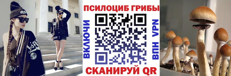 Галлюциногенные грибы GOLDEN TEACHER Шахты