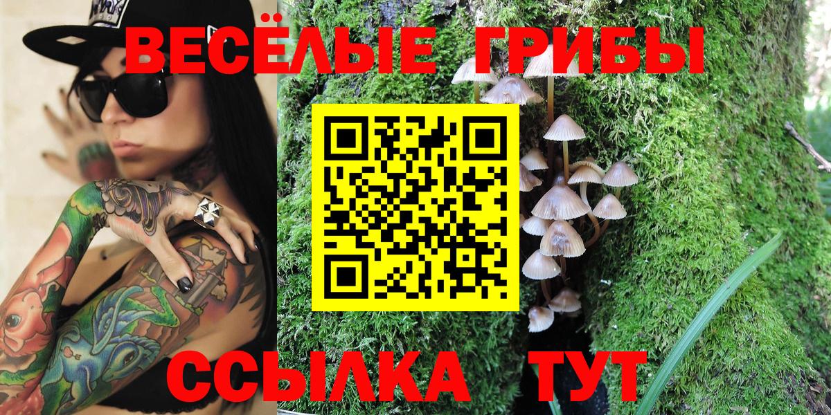 Галлюциногенные грибы GOLDEN TEACHER Шахты