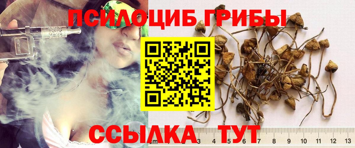 Псилоцибиновые грибы Psilocybine cubensis  Вход с VPN  Шахты 
